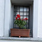 Rustic Rose - Private Premium House