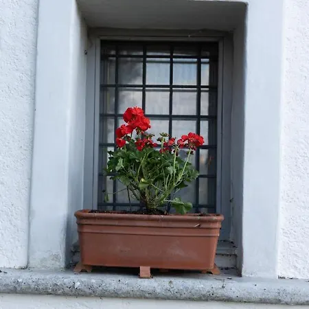 Rustic Rose - Private Premium House