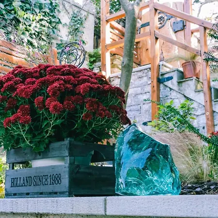 別荘 Rustic Rose - Private Premium House *