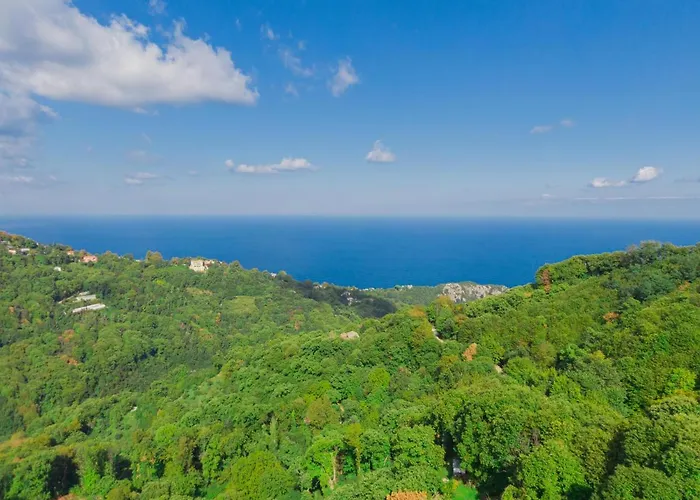 Rustic Rose - Private Premium House 別荘 *