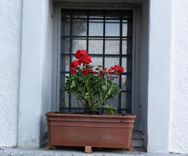 Rustic Rose - Private Premium House