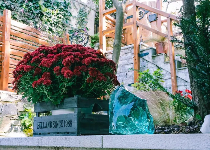 別荘 Rustic Rose - Private Premium House *